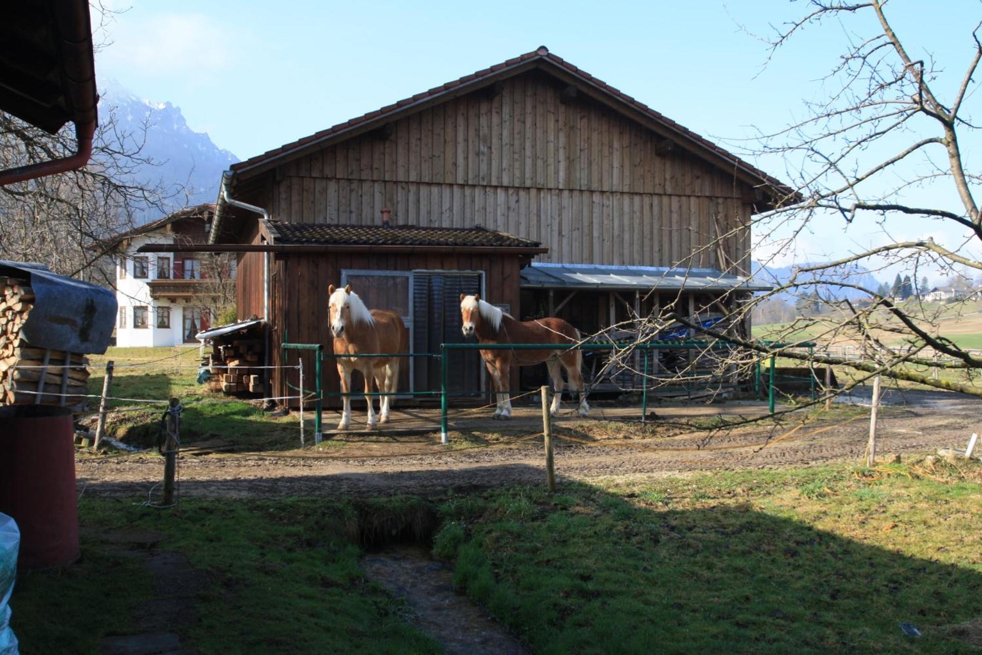 Bachbauernhof Appartement Bayerisch Gmain Buitenkant foto