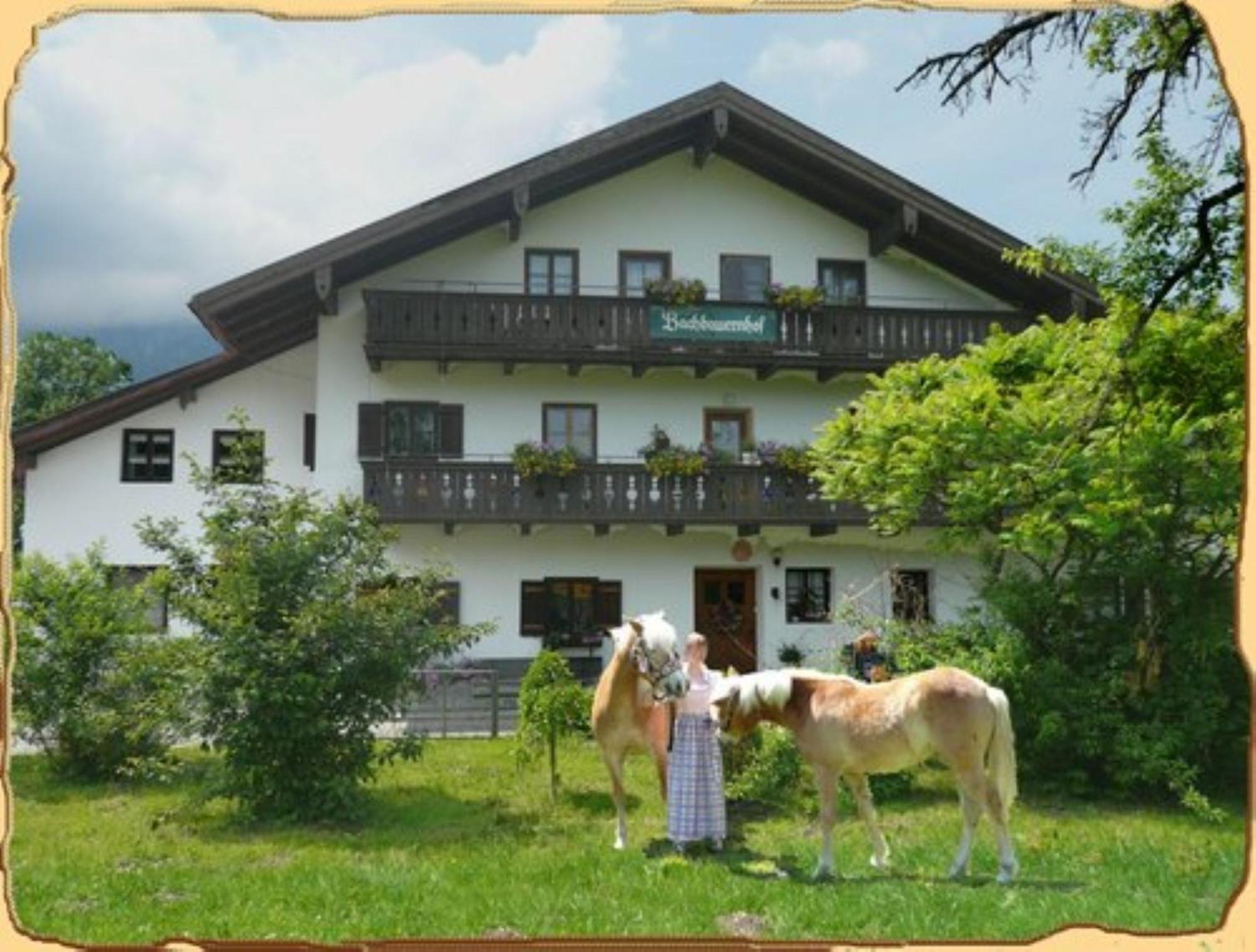 Bachbauernhof Appartement Bayerisch Gmain Buitenkant foto